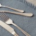 Austine tide 24-piece cutlery set