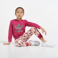 Adidas kids' graphic sweatshirt and sweatpant set