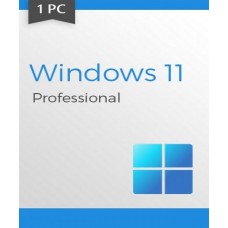 Windows 11 professional with bootable flash