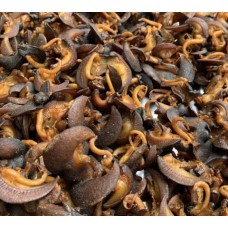 Oven dried snail (medium sized)