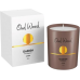 Garden hotel/home and offices oud wood candle airfresners