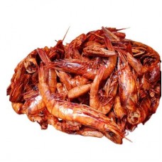 Dried prawns (paint bucket)