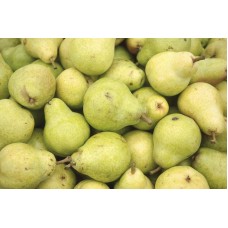 English pear - big size