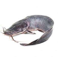 Cat fish  (kilo)