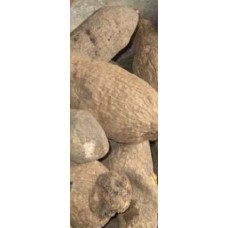 Small fresh yam - 5 pieces