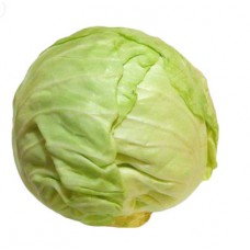 Cabbage (medium size)