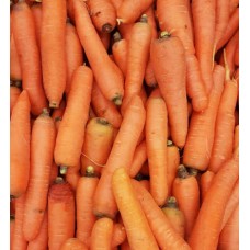 Carrot (bunch)