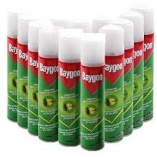 Baygon insect killer 300ml *24 cans