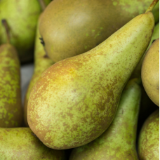 English pear per kg