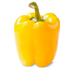 Yellow bell pepper (each/fresh)