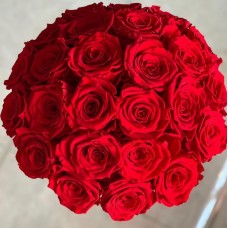 Premium red gift roses