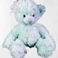 Teddy bear plush 