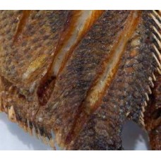 Fried croaker fish 