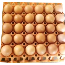Egg crate 
